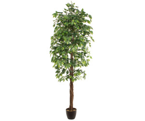 Dirbtinis augalas FICUS 2.40m